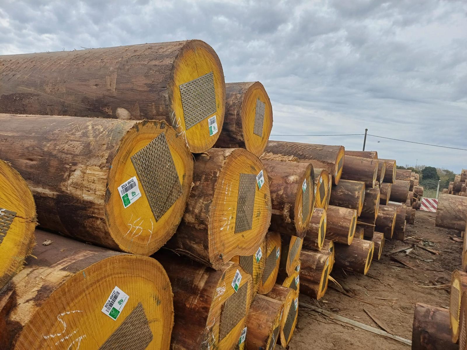 +30 super podado (11)