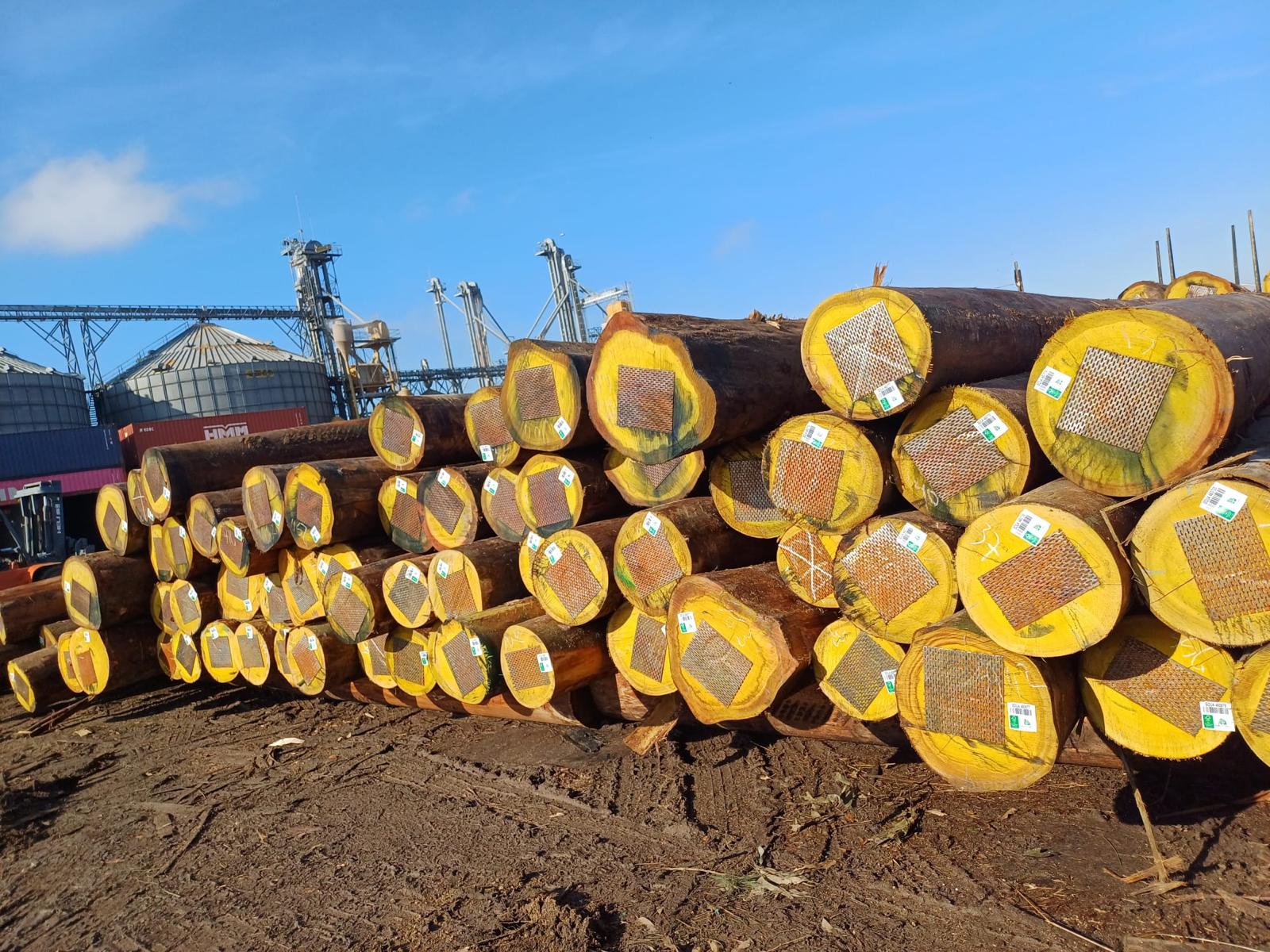 +30 super podado (2)