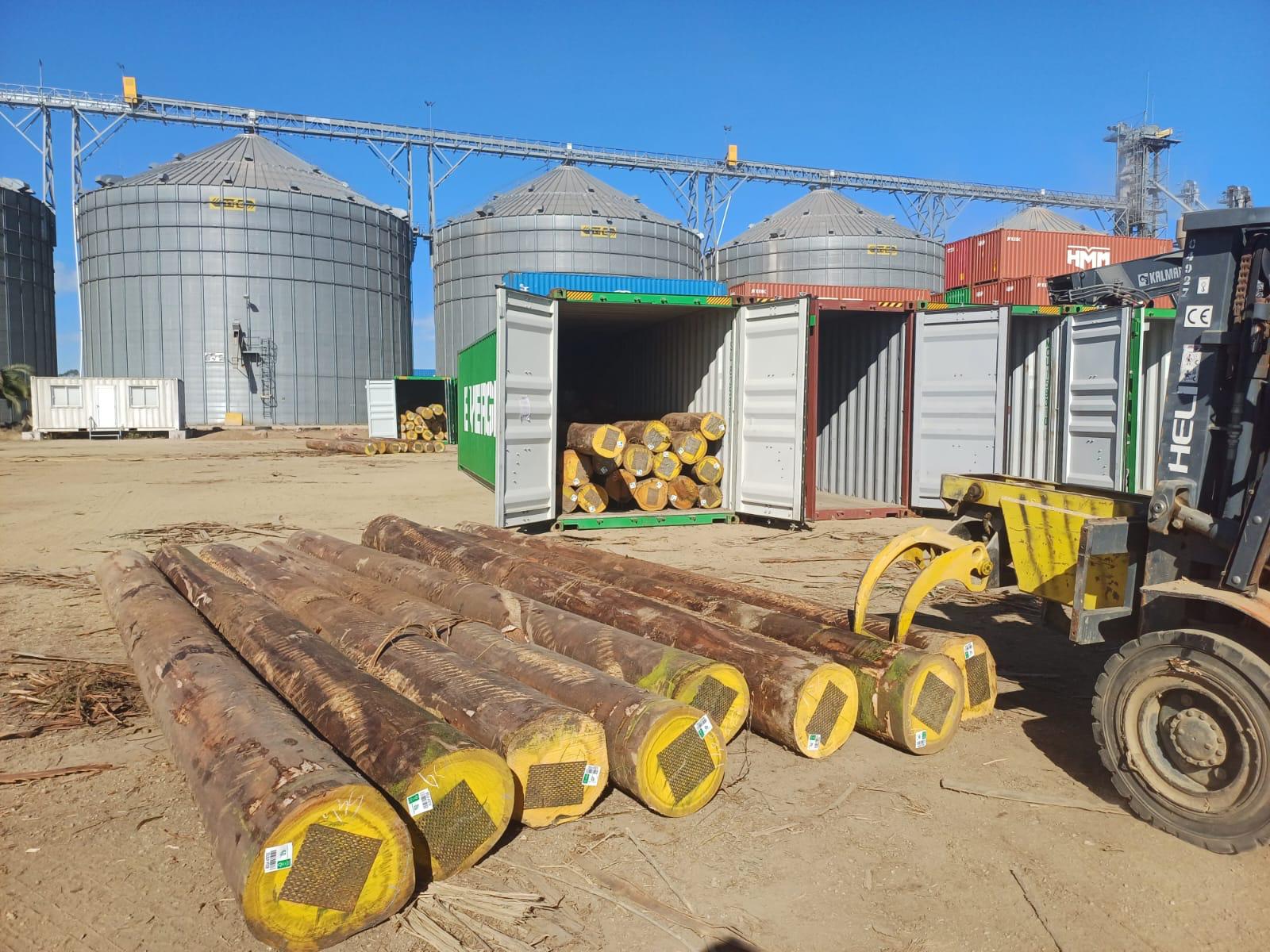 +30 super podado (3)