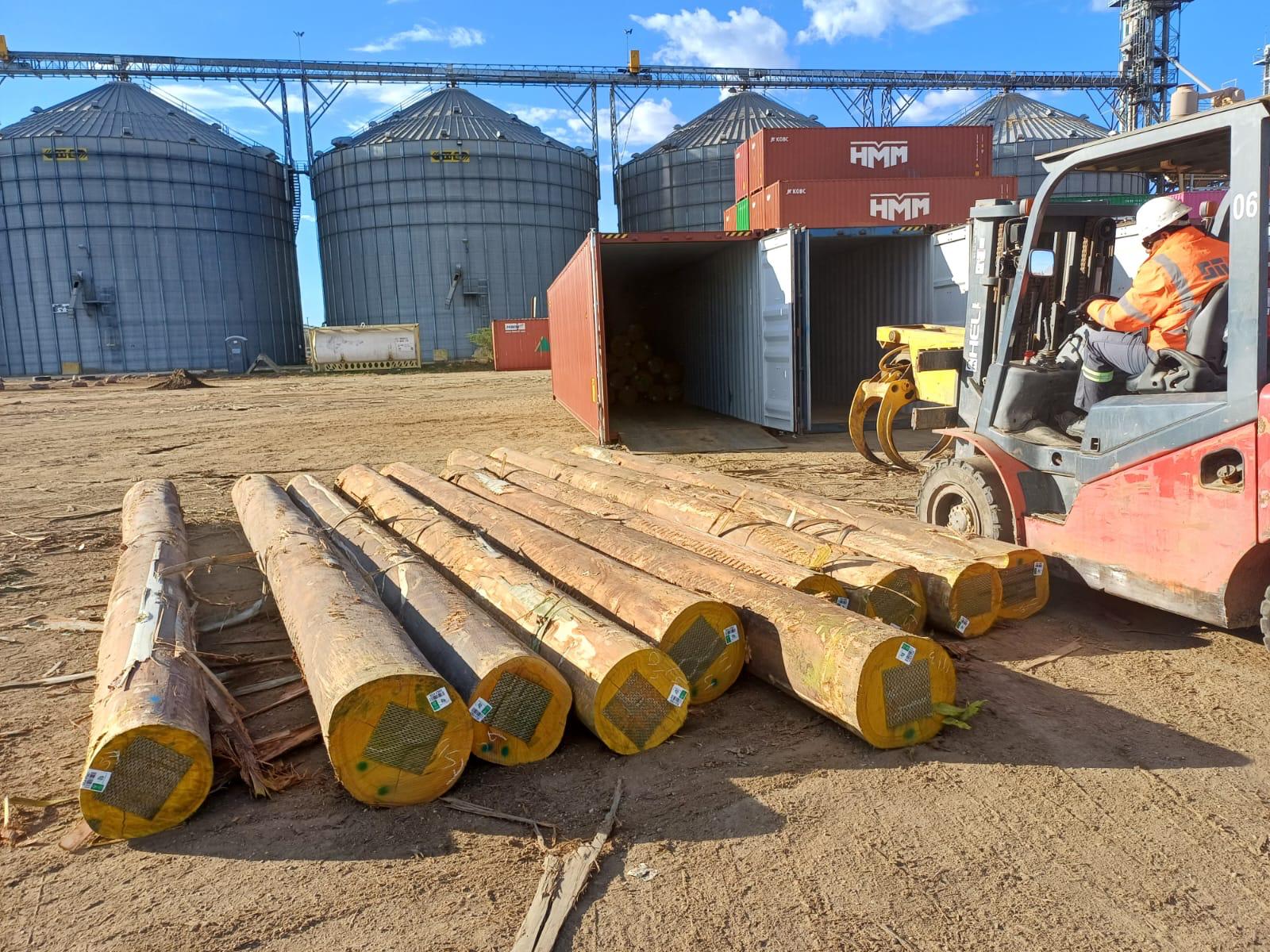 +30 super podado (4)