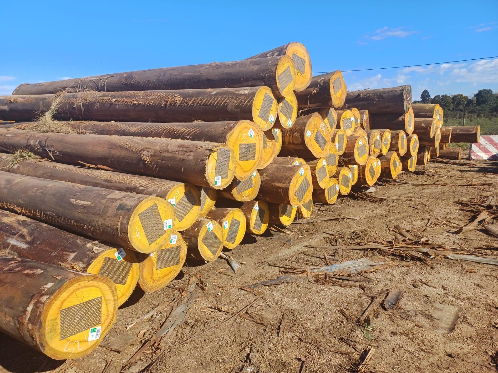 +30 super podado (5)