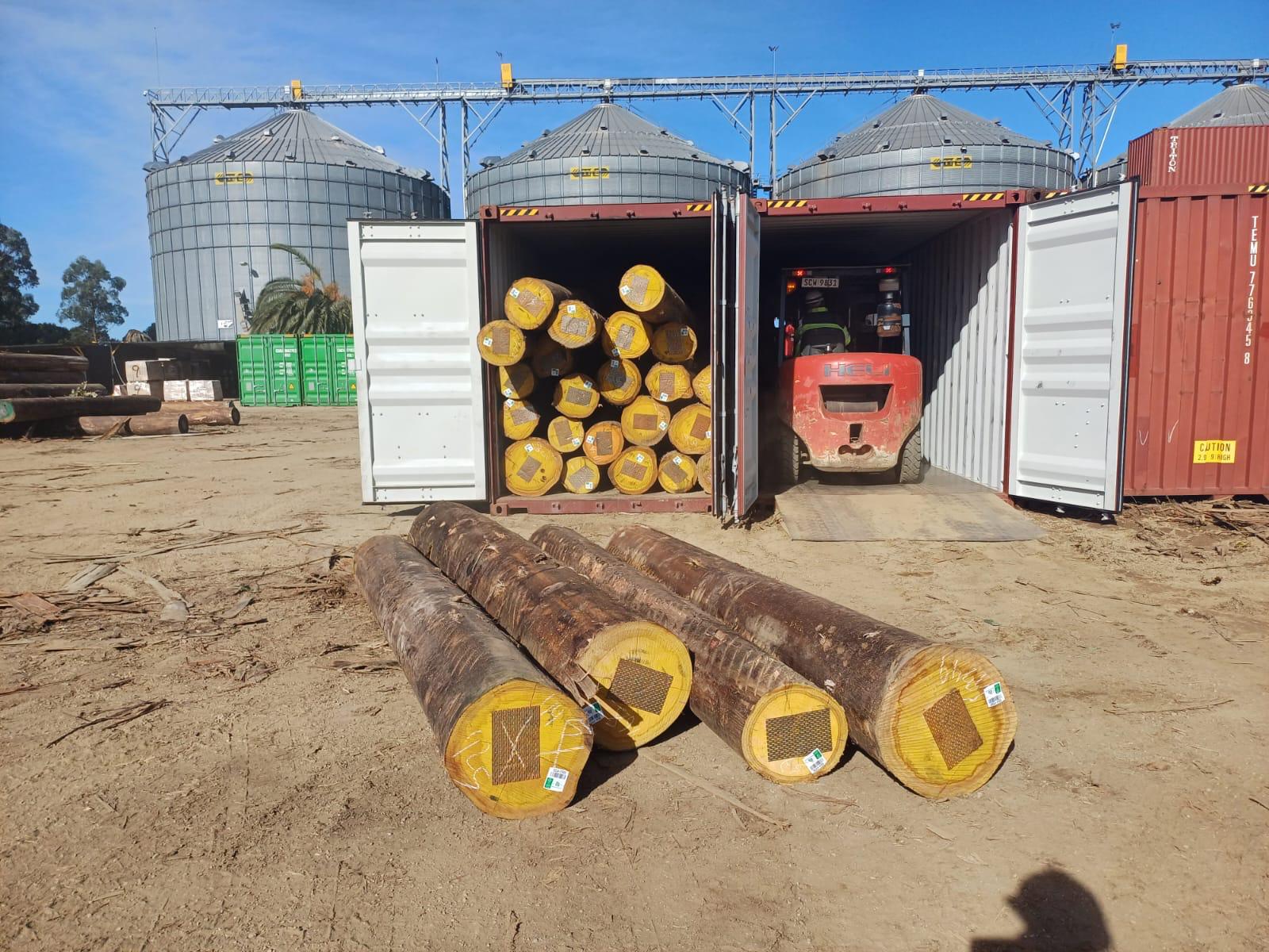 +30 super podado (6)