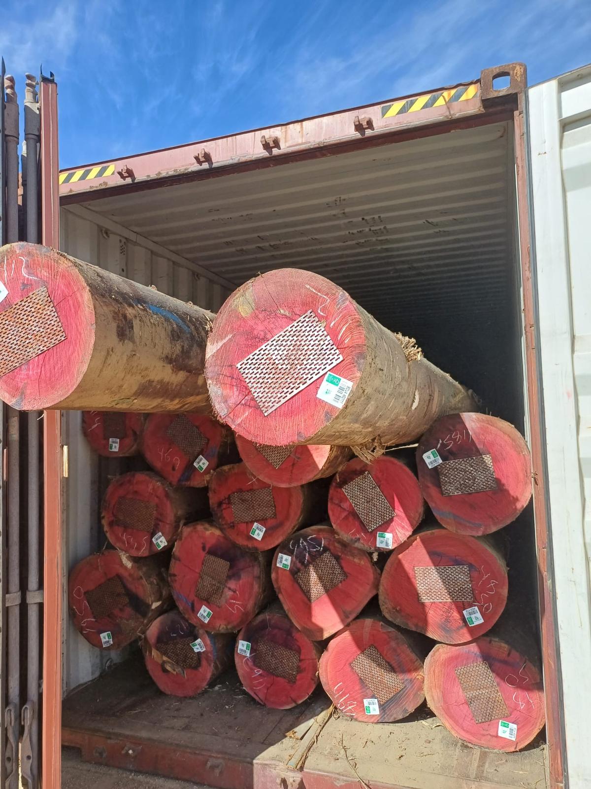 +40 super podado (3)