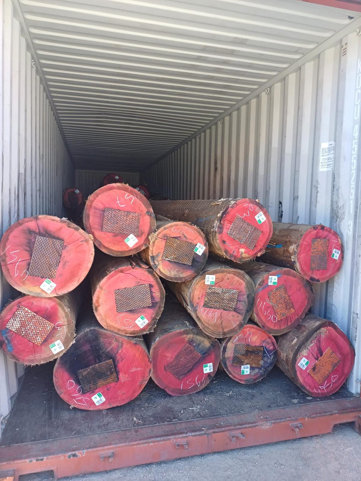 +40 super podado (4)