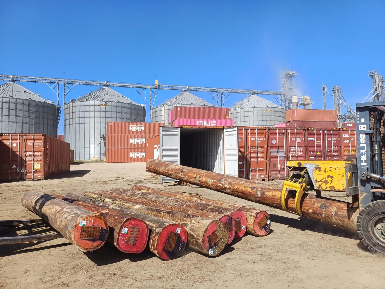 +40 super podado (5)