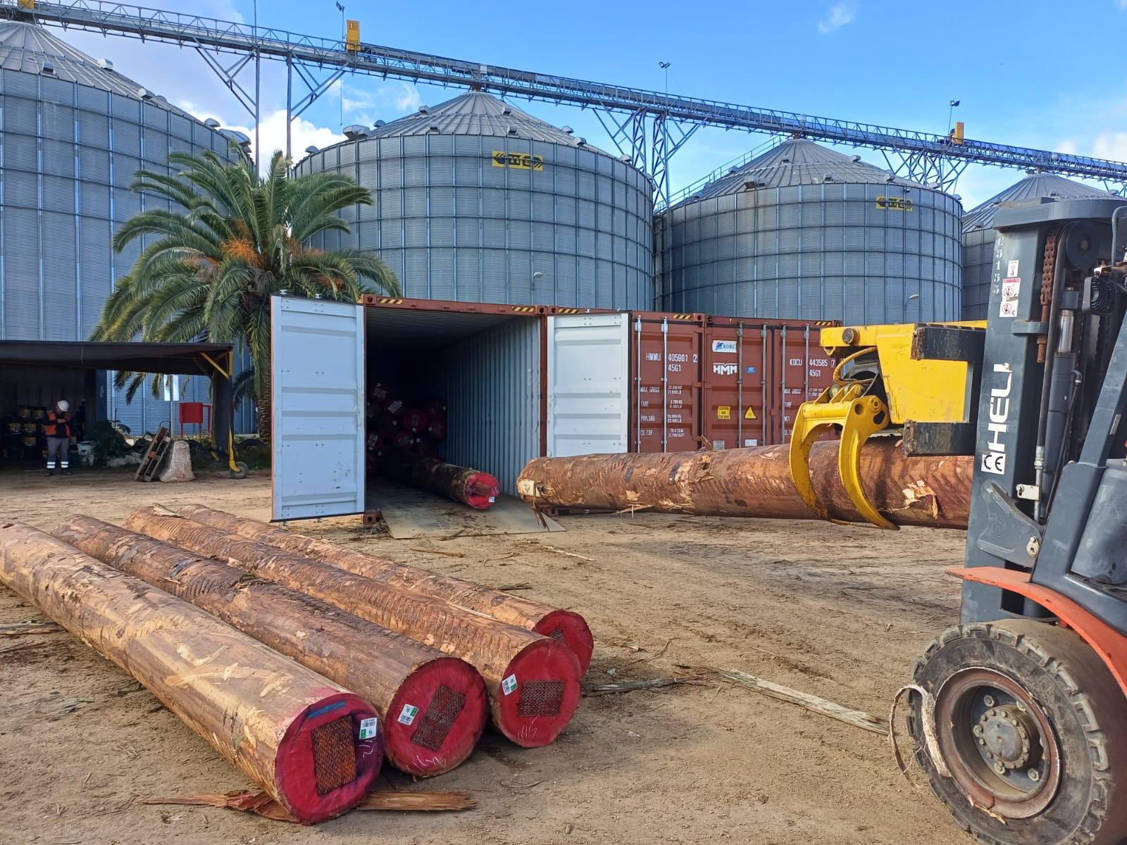 +40 super podado (6)